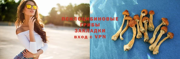 прущие грибы Балахна