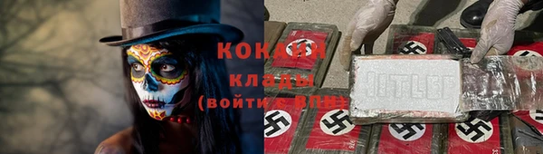 прущие грибы Балахна