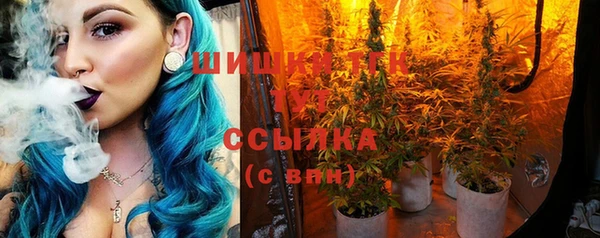 прущие грибы Балахна
