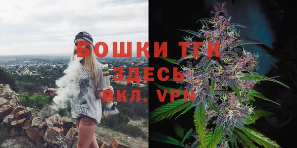 прущие грибы Балахна