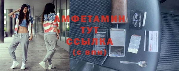 прущие грибы Балахна