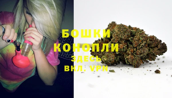 прущие грибы Балахна