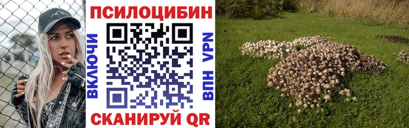 Галлюциногенные грибы прущие грибы  Лебедянь 